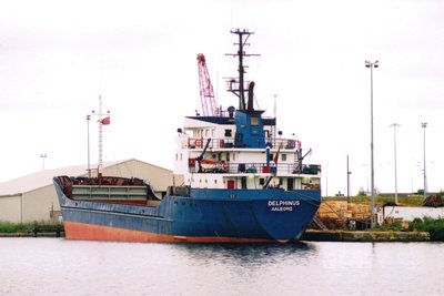 Delphinus.jpg