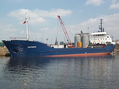 DELPHINUS.jpg