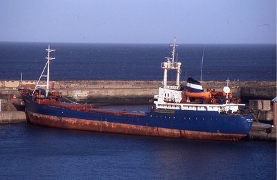 SEA RUNNER 250103a.jpg