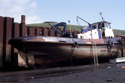 LIBRA STAR 070592b.jpg