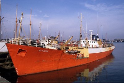 ST KITTS 110395a.jpg