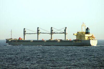SUNSHINE 120512a.JPG