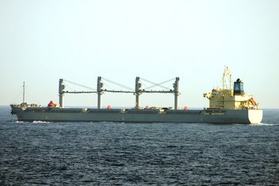 SUNSHINE 120512b.JPG