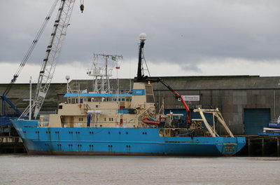 Franklin, 10 January 2016 (3)_1.JPG