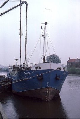 GINO 090586b.jpg