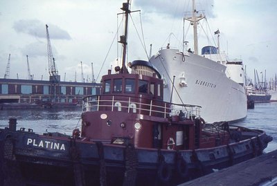 PLATINIA & BJORGSTEIN.jpg