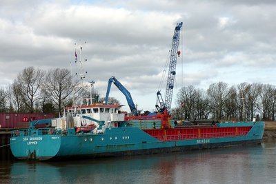 16015sea-shannon290216x1.jpg