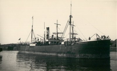 THERESEDAL1889.jpg