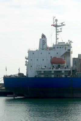 CIMG1674.JPG