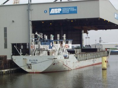 ELISIA(B).jpg