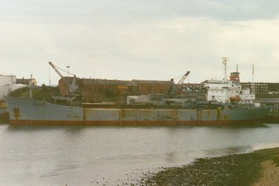 Havkatt.jpg