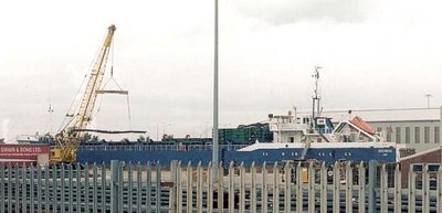 celticforester260507.jpg