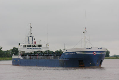 CELTICFORESTER010608A.jpg