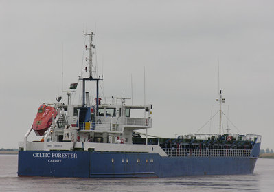 CELTICFORESTER010608C.jpg