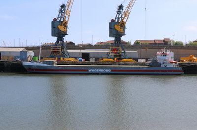 Jolyn, 9 June 2016 (1)_1.JPG
