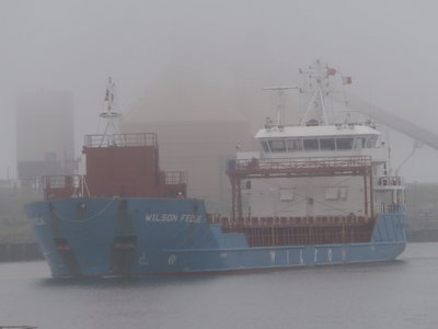 wilson fedje mist.JPG