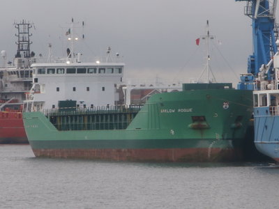arklow rogue.JPG