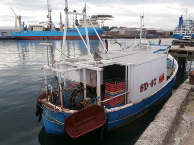 tina SD 47 stern.JPG