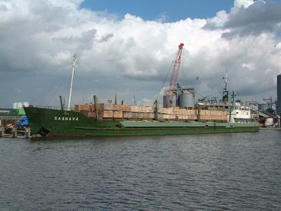 SASNAVA(B).jpg