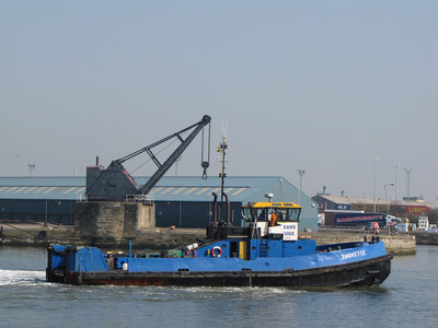 SHOVETTE280312B.jpg