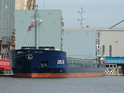 DELIA(B).jpg