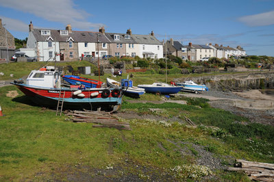 DSC_9381.jpg
