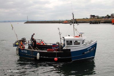 SILVER LINE (WY 68).jpg