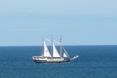 TS11.jpg