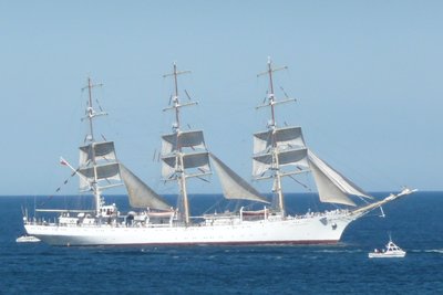 TS14.jpg