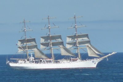 TS19.jpg
