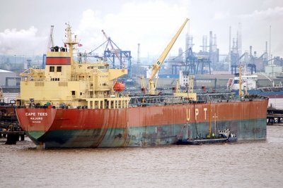 CAPE TEES 240612a.JPG