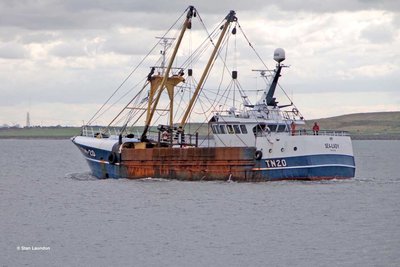 SEA LADY (TN 20).jpg