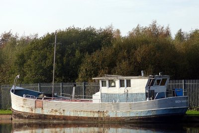 16252ben-harvey311016-NEM.jpg