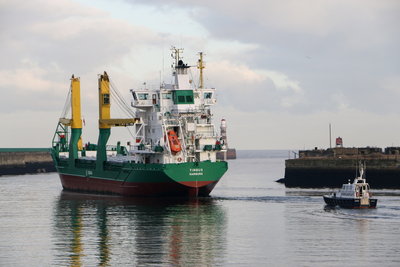 Timbus, 3 December 2016 (7)_1.JPG