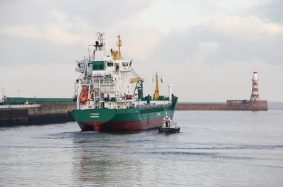 Timbus, 3 December 2016 (9)_1.JPG