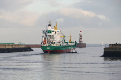 Timbus, 3 December 2016 (10)_1.JPG