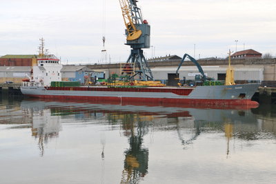 Susan, 19 December 2016 (2)_1.JPG