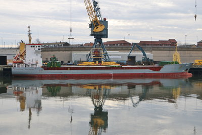 Susan, 19 December 2016 (3)_1.JPG