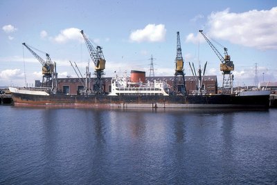 CHI YUEN 050582a.jpg