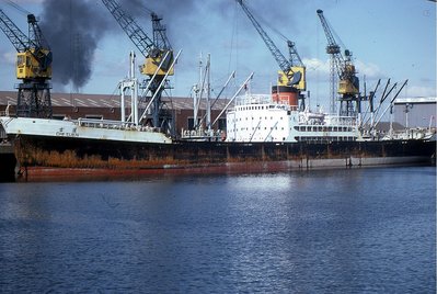 CHI YUEN 050582b.jpg