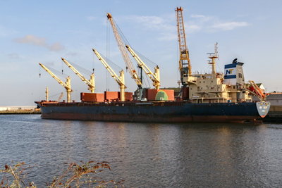 New Glory, 9300843, 30 December 2016 (2)_1.JPG