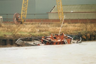 Hippo2.jpg