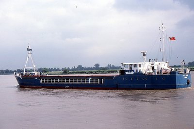 RIVER TAMAR 270682a.jpg