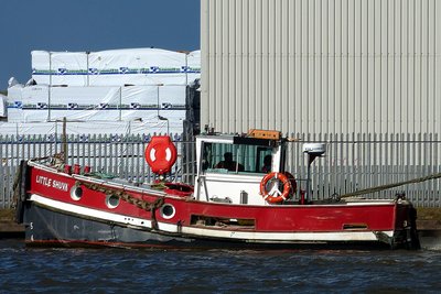 17064little-shuva240417x4.jpg