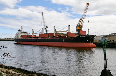 Amanda C, 28 April 2017 (3)_1.JPG