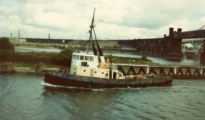 MSC_Ulex.jpg (215.33 KiB) Viewed 11180 times MSC_Ulex.jpg