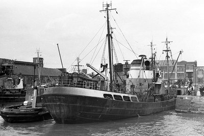 arctic-ranger040767.jpg