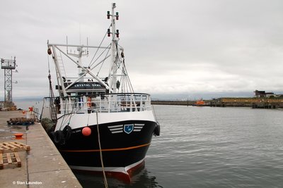 CRYSTAL DAWN (CN 20).JPG