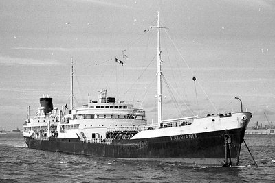 hadriania110767x1.jpg