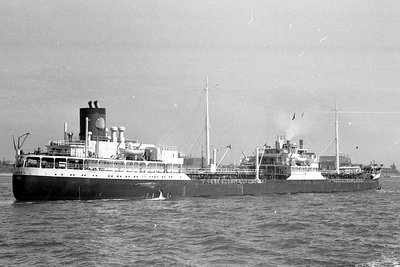 hadriania110767x2.jpg